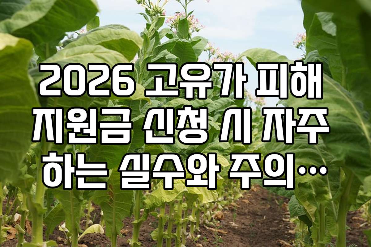 2026 고유가 피해 지원금 신청 시 자주 하는 실수와 주의사항
