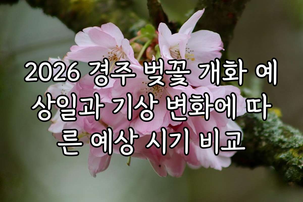2026 경주 벚꽃 개화 예상일과 기상 변화에 따른 예상 시기 비교