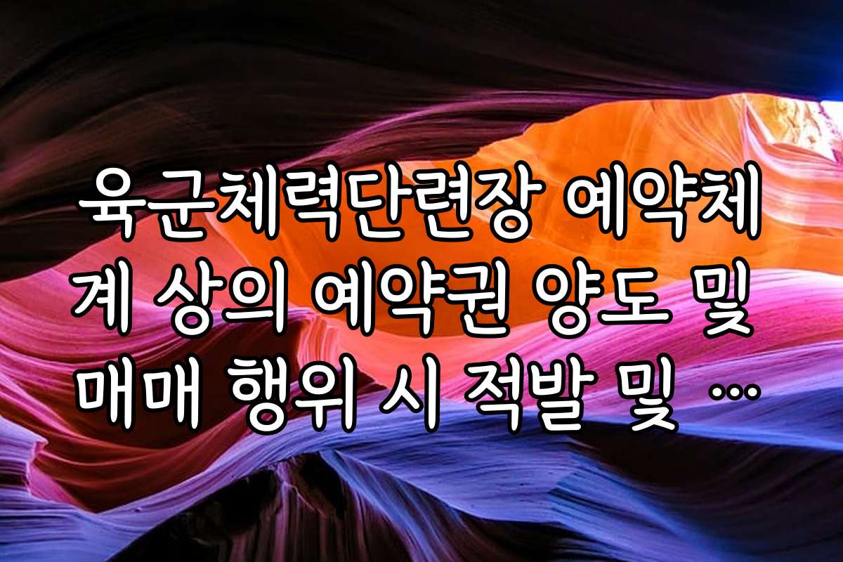 육군체력단련장 예약체계 상의 예약권 양도 및 매매 행위 시 적발 및 처벌 기준