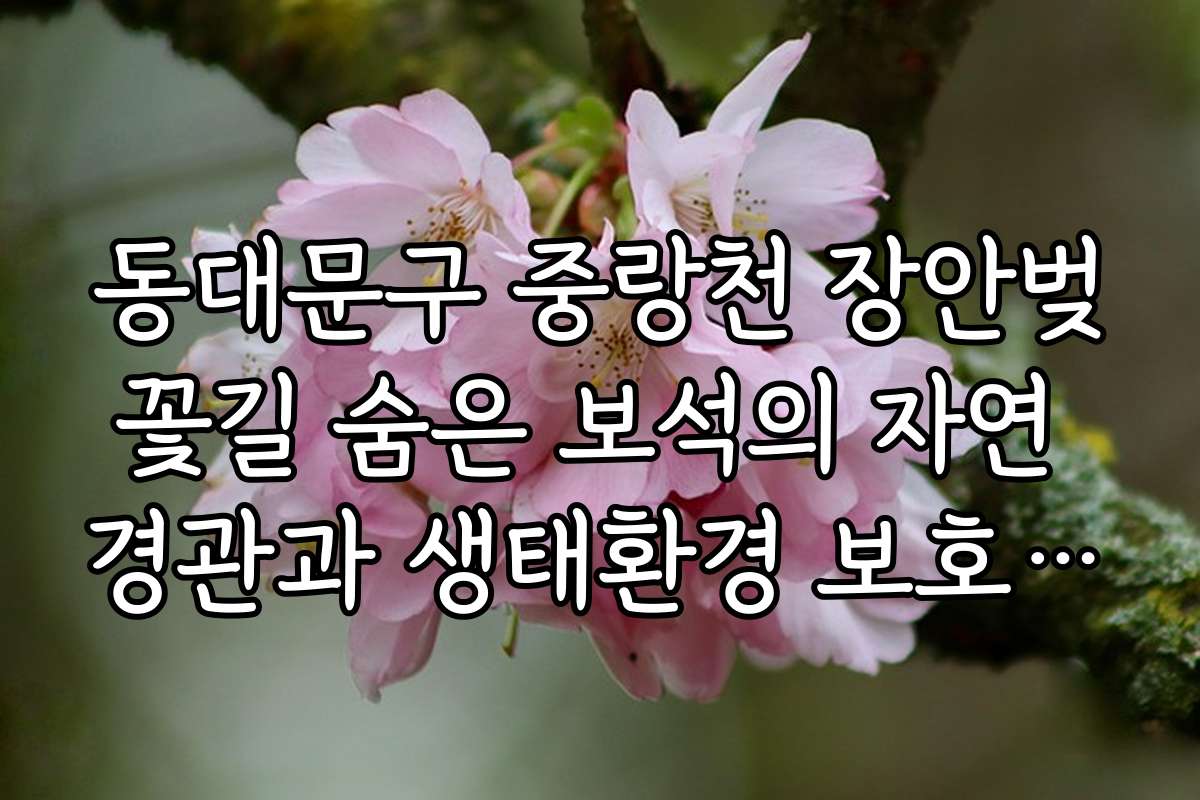 동대문구 중랑천 장안벚꽃길 숨은 보석의 자연 경관과 생태환경 보호 활동