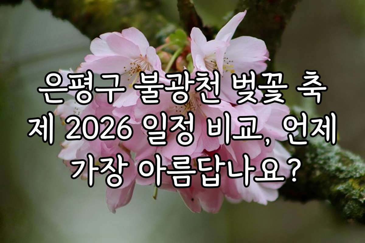은평구 불광천 벚꽃 축제 2026 일정 비교, 언제 가장 아름답나요?