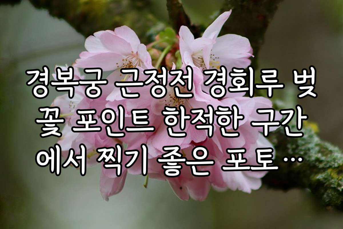 경복궁 근정전 경회루 벚꽃 포인트 한적한 구간에서 찍기 좋은 포토존과 각종 인생샷 팁