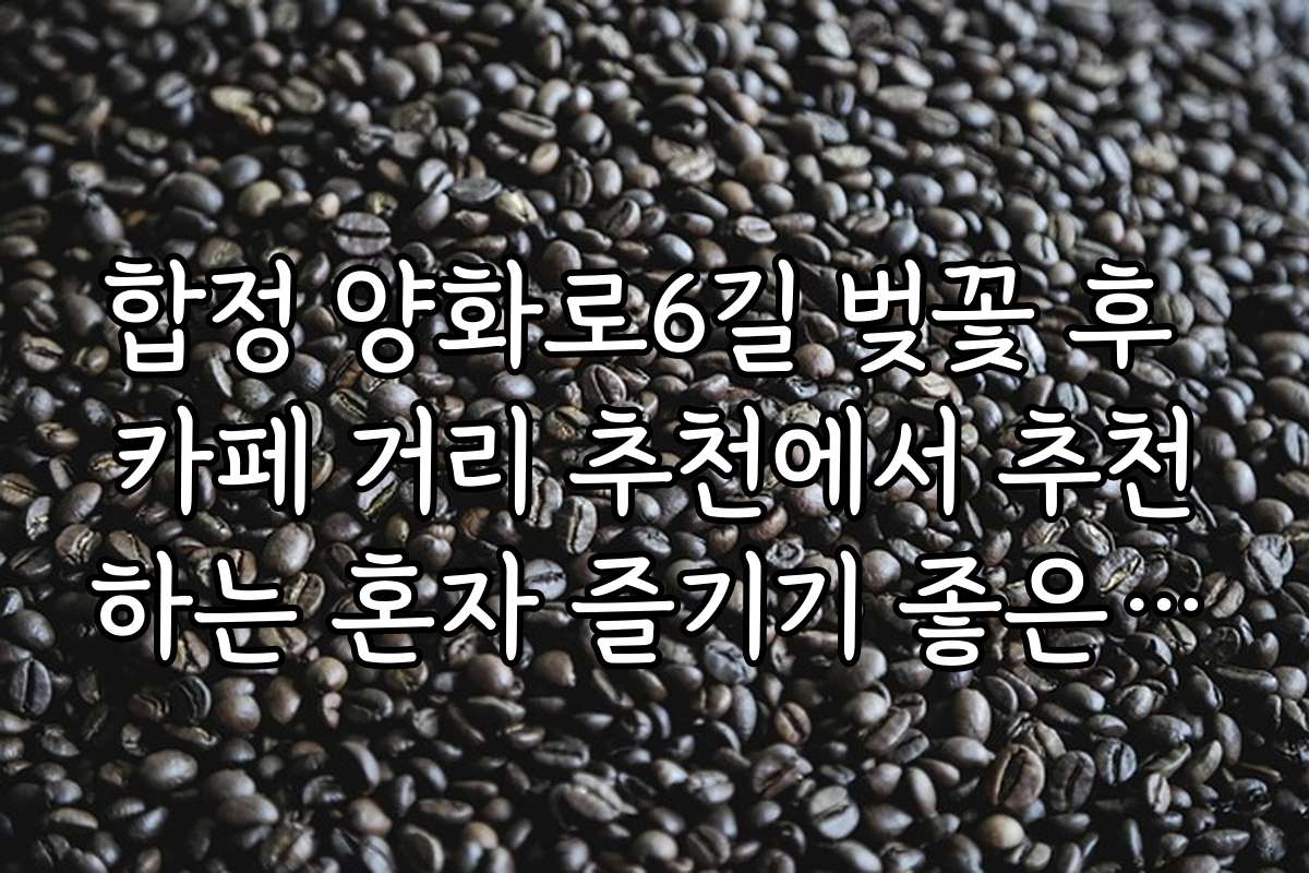 합정 양화로6길 벚꽃 후 카페 거리 추천에서 추천하는 혼자 즐기기 좋은 조용한 카페