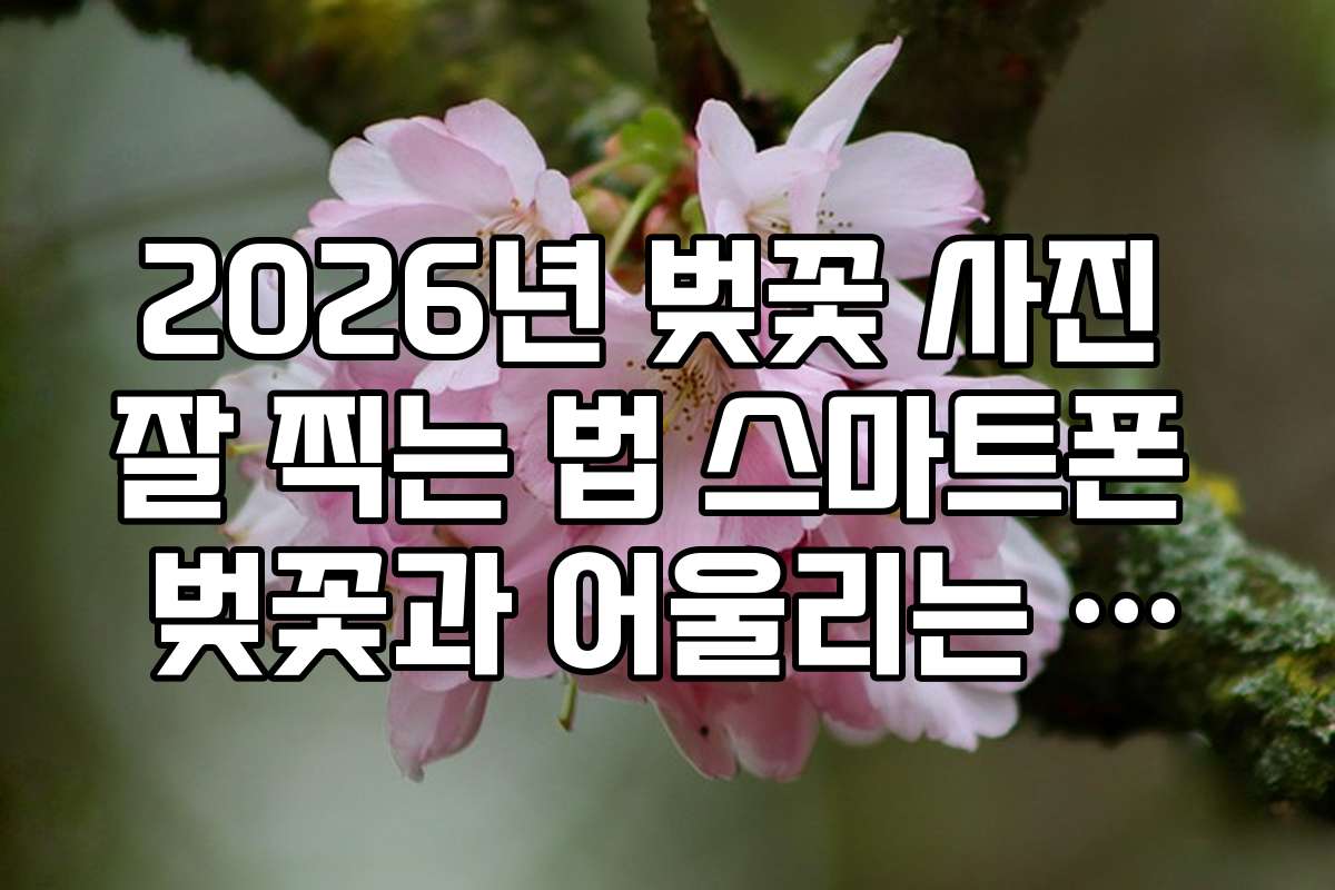 2026년 벚꽃 사진 잘 찍는 법 스마트폰 벚꽃과 어울리는 포즈 제안 10선