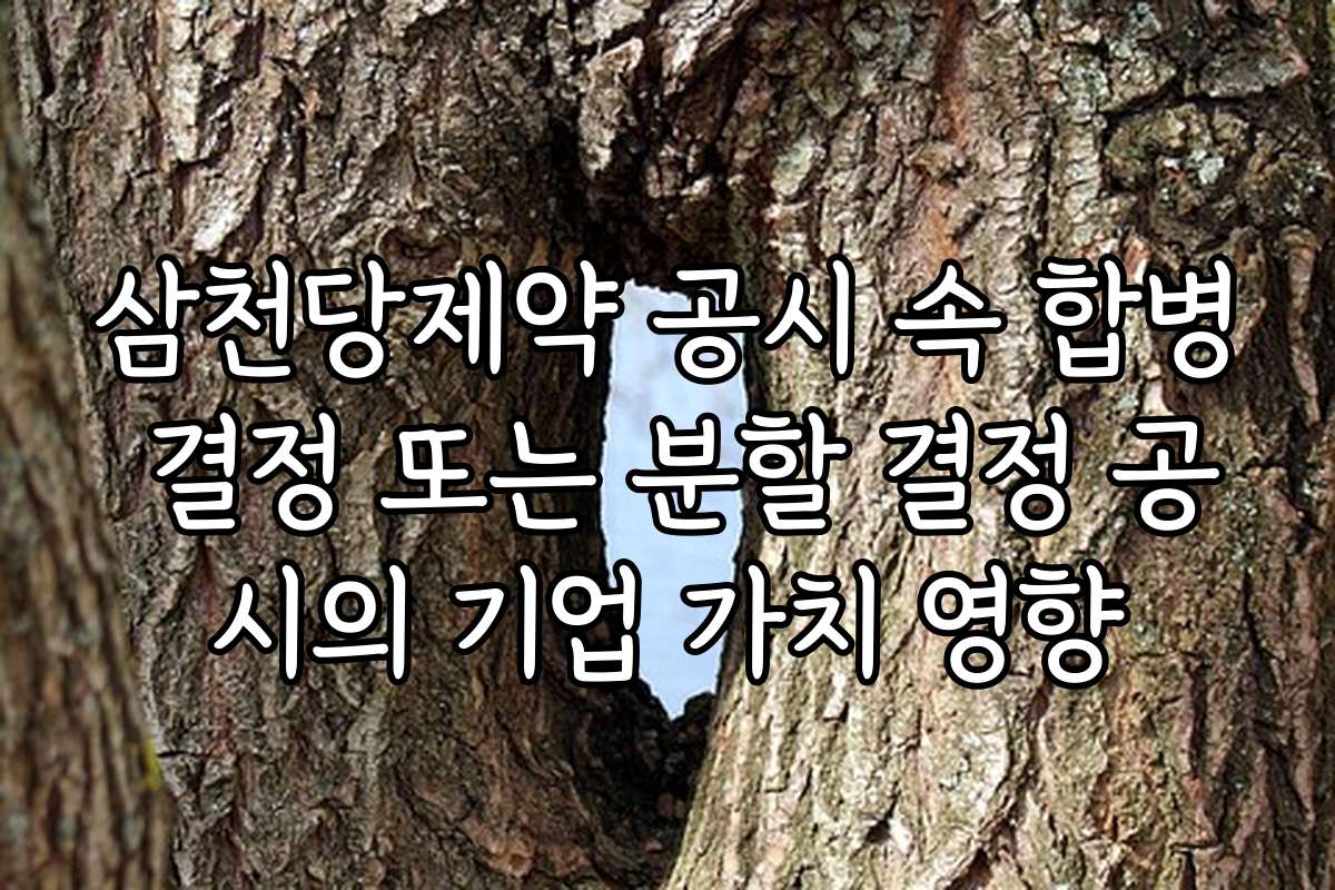 삼천당제약 공시 속 합병 결정 또는 분할 결정 공시의 기업 가치 영향
