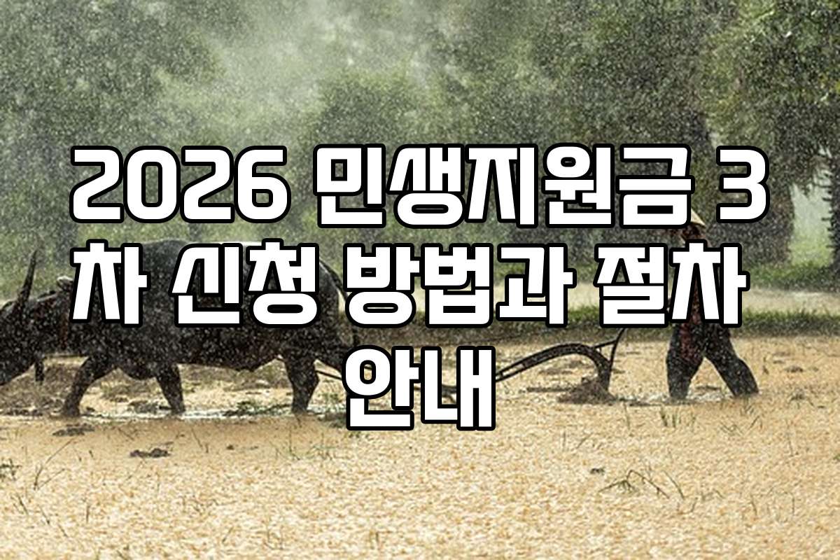 2026 민생지원금 3차 신청 방법과 절차 안내
