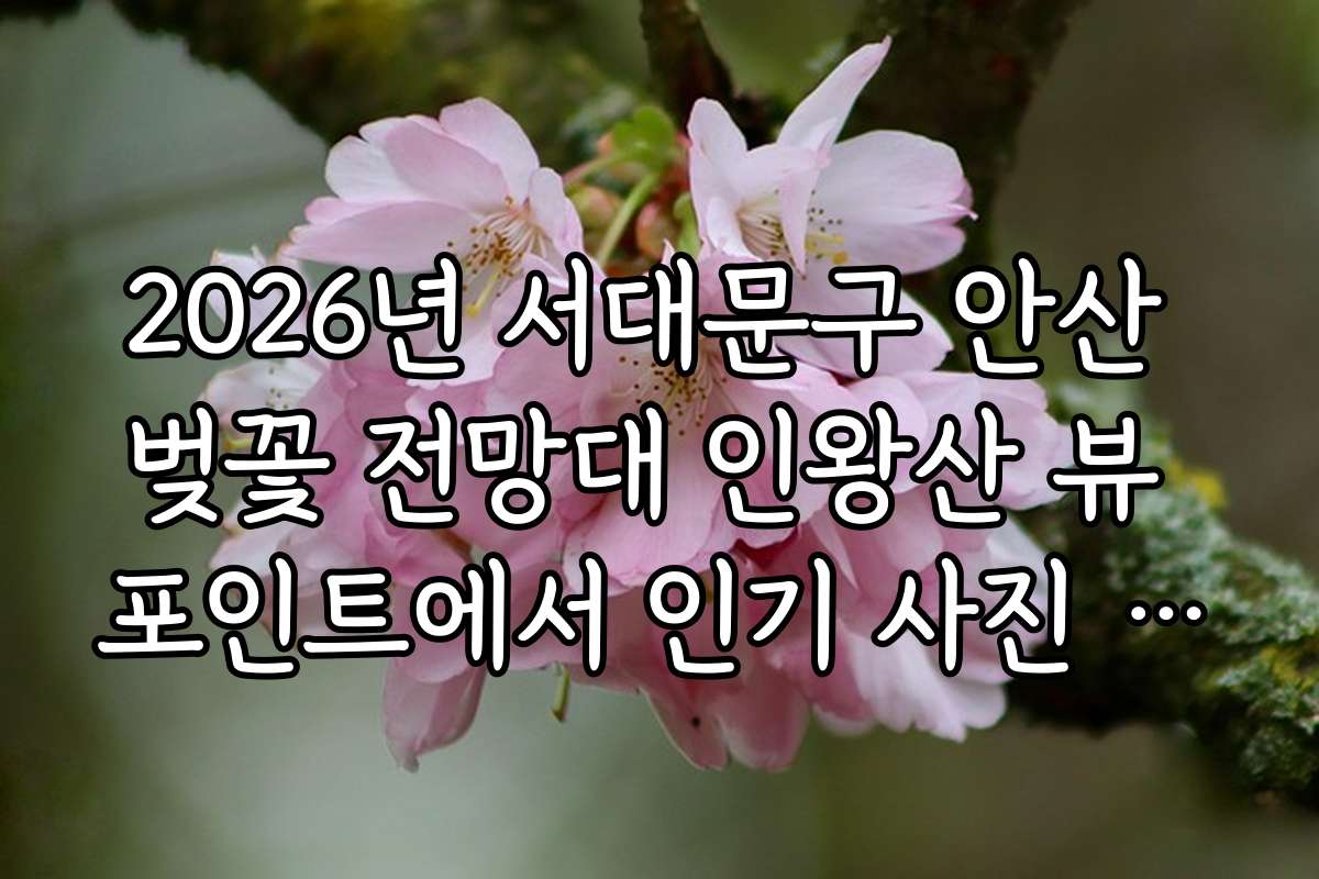 2026년 서대문구 안산 벚꽃 전망대 인왕산 뷰 포인트에서 인기 사진 명소와 포인트별 추천 장소를 소개합니다