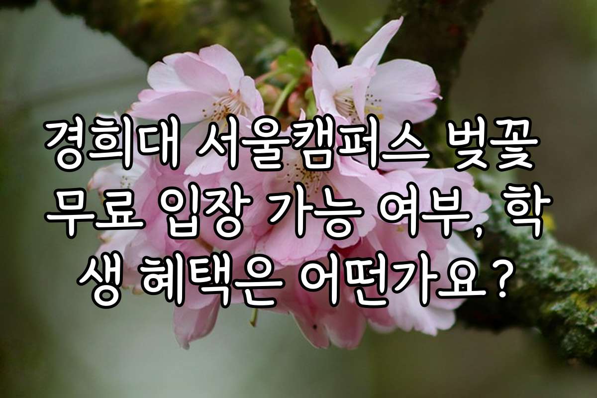 경희대 서울캠퍼스 벚꽃 무료 입장 가능 여부, 학생 혜택은 어떤가요?