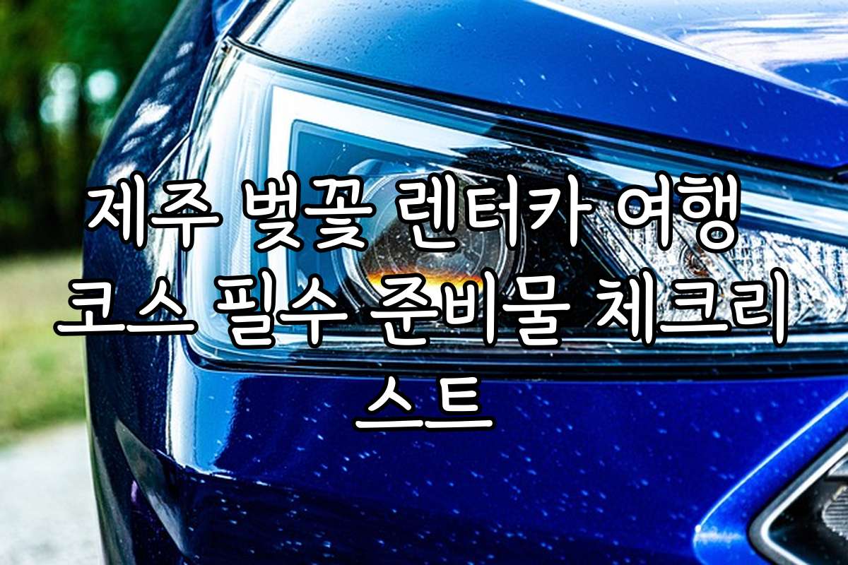 제주 벚꽃 렌터카 여행 코스 필수 준비물 체크리스트