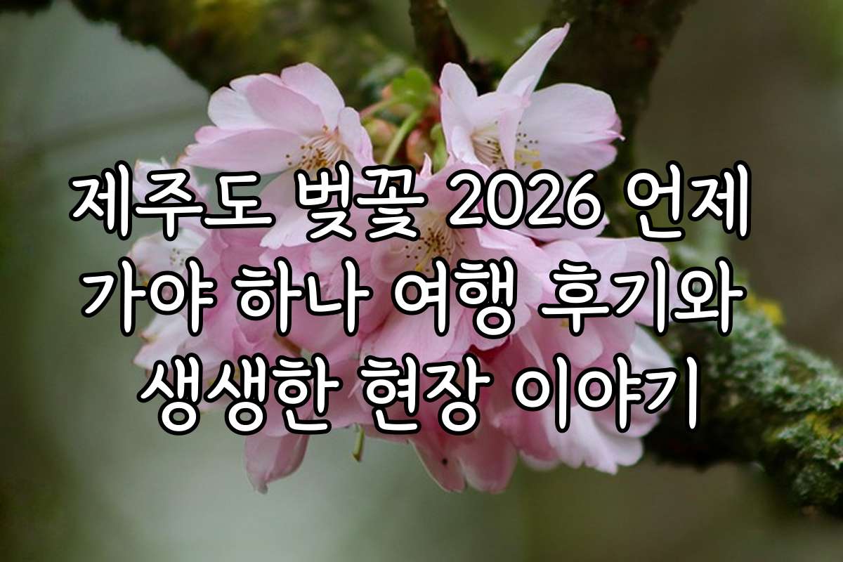 제주도 벚꽃 2026 언제 가야 하나 여행 후기와 생생한 현장 이야기