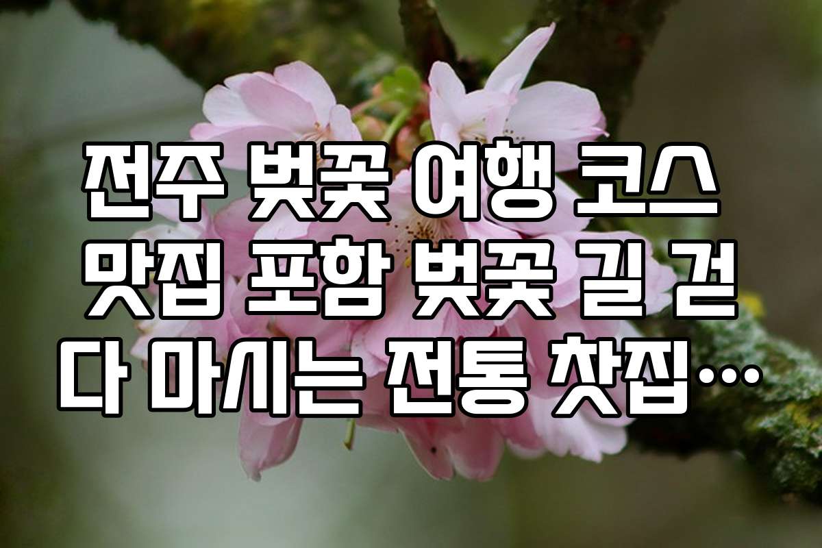 전주 벚꽃 여행 코스 맛집 포함 벚꽃 길 걷다 마시는 전통 찻집 위치