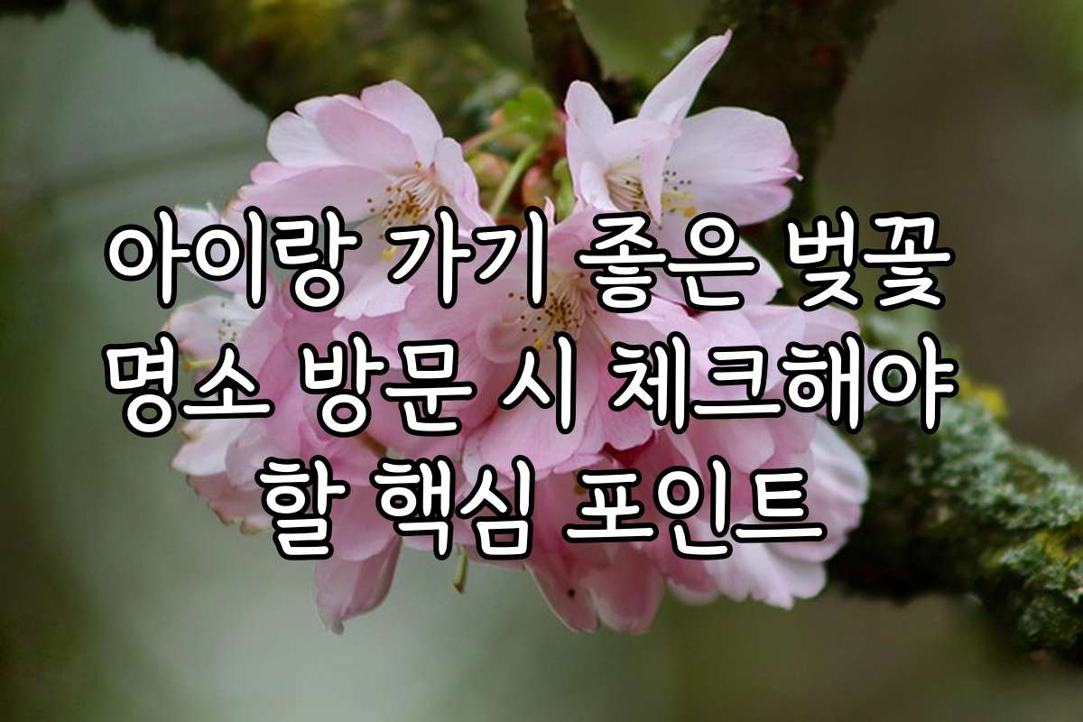 아이랑 가기 좋은 벚꽃 명소 방문 시 체크해야 할 핵심 포인트
