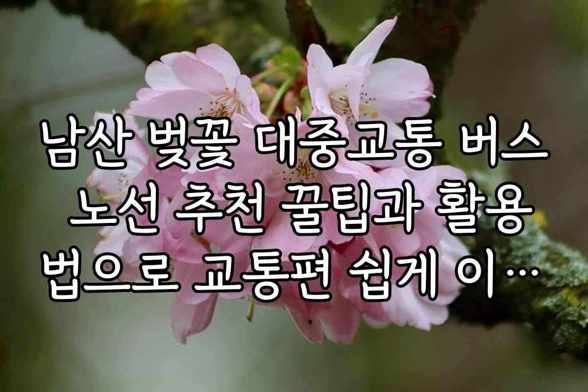 남산 벚꽃 대중교통 버스 노선 추천 꿀팁과 활용법으로 교통편 쉽게 이용하는 방법