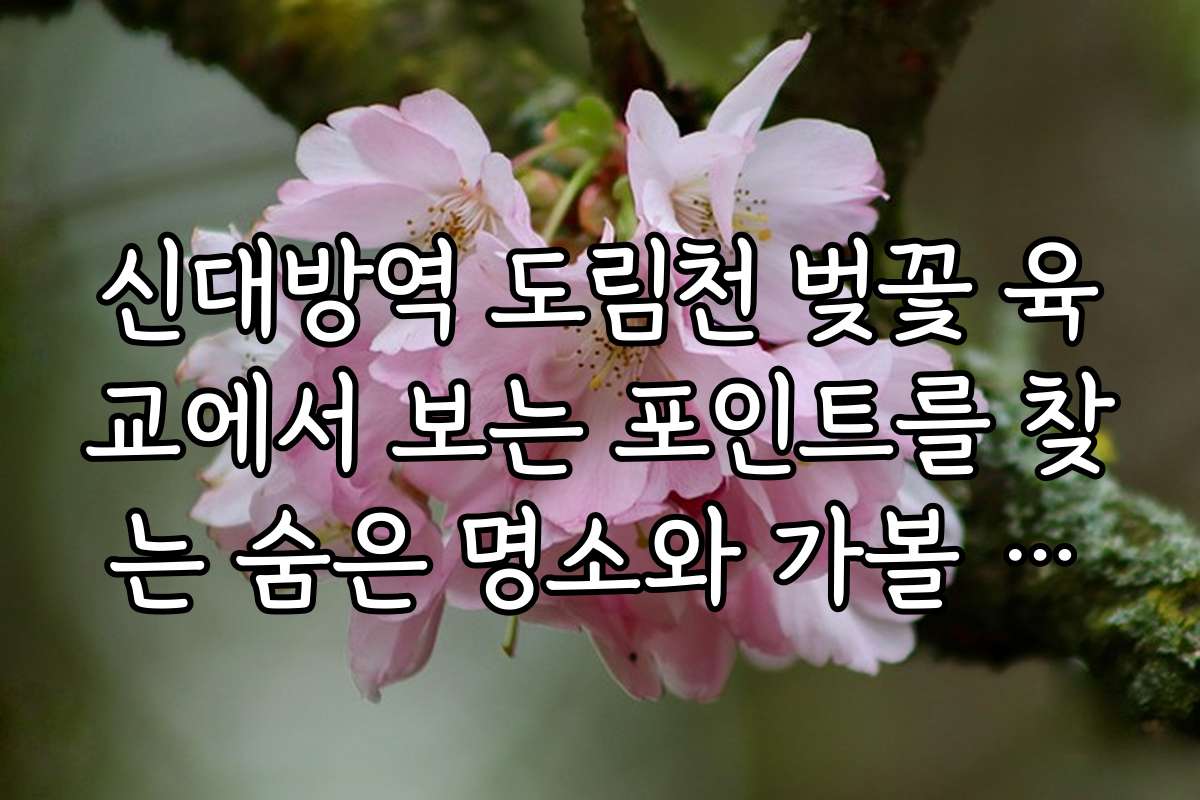 신대방역 도림천 벚꽃 육교에서 보는 포인트를 찾는 숨은 명소와 가볼 만한 장소 추천