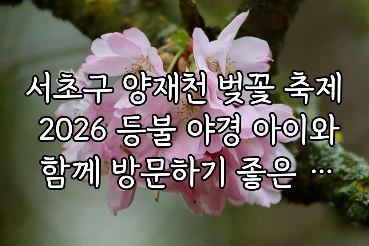 서초구 양재천 벚꽃 축제 2026 등불 야경 아이와 함께 방문하기 좋은 시간대