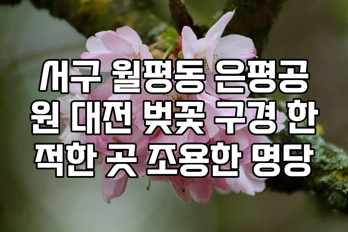 서구 월평동 은평공원 대전 벚꽃 구경 한적한 곳 조용한 명당