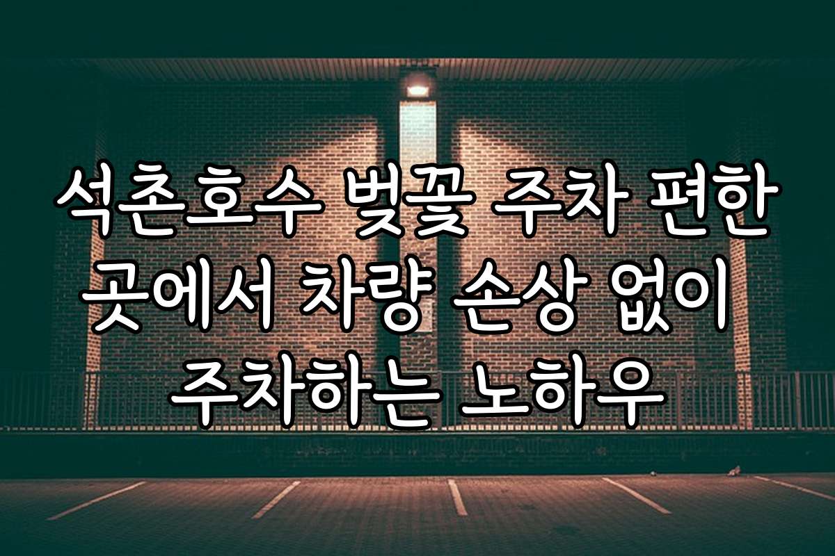 석촌호수 벚꽃 주차 편한곳에서 차량 손상 없이 주차하는 노하우