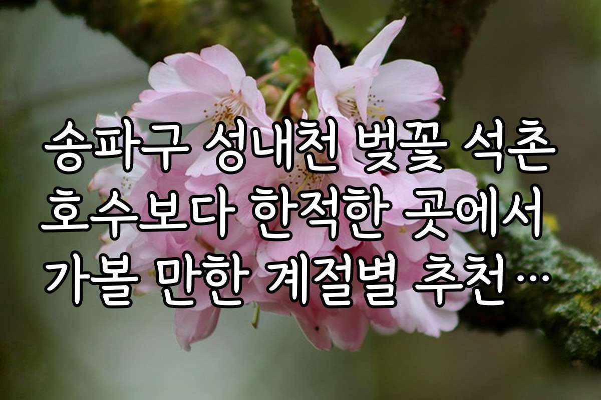 송파구 성내천 벚꽃 석촌호수보다 한적한 곳에서 가볼 만한 계절별 추천 명소 모음