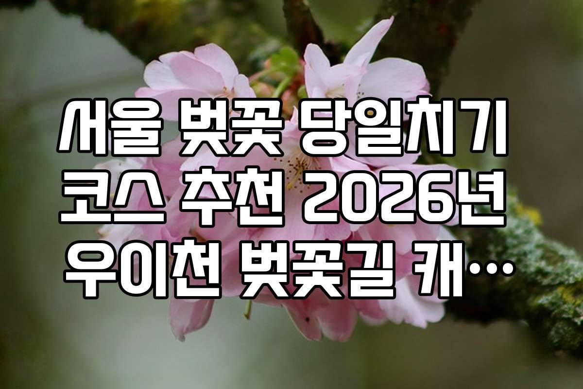 서울 벚꽃 당일치기 코스 추천 2026년 우이천 벚꽃길 캐릭터 축제 일정