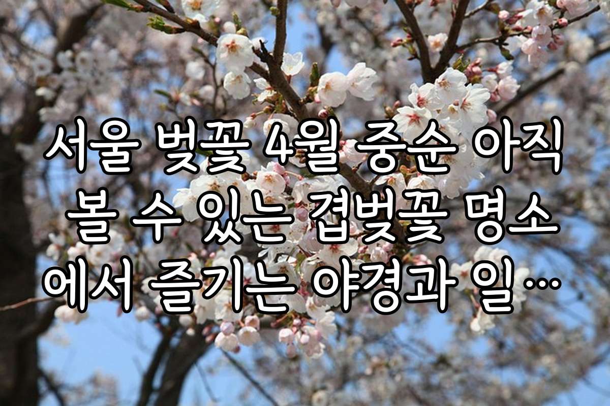 서울 벚꽃 4월 중순 아직 볼 수 있는 겹벚꽃 명소에서 즐기는 야경과 일몰 명소 추천