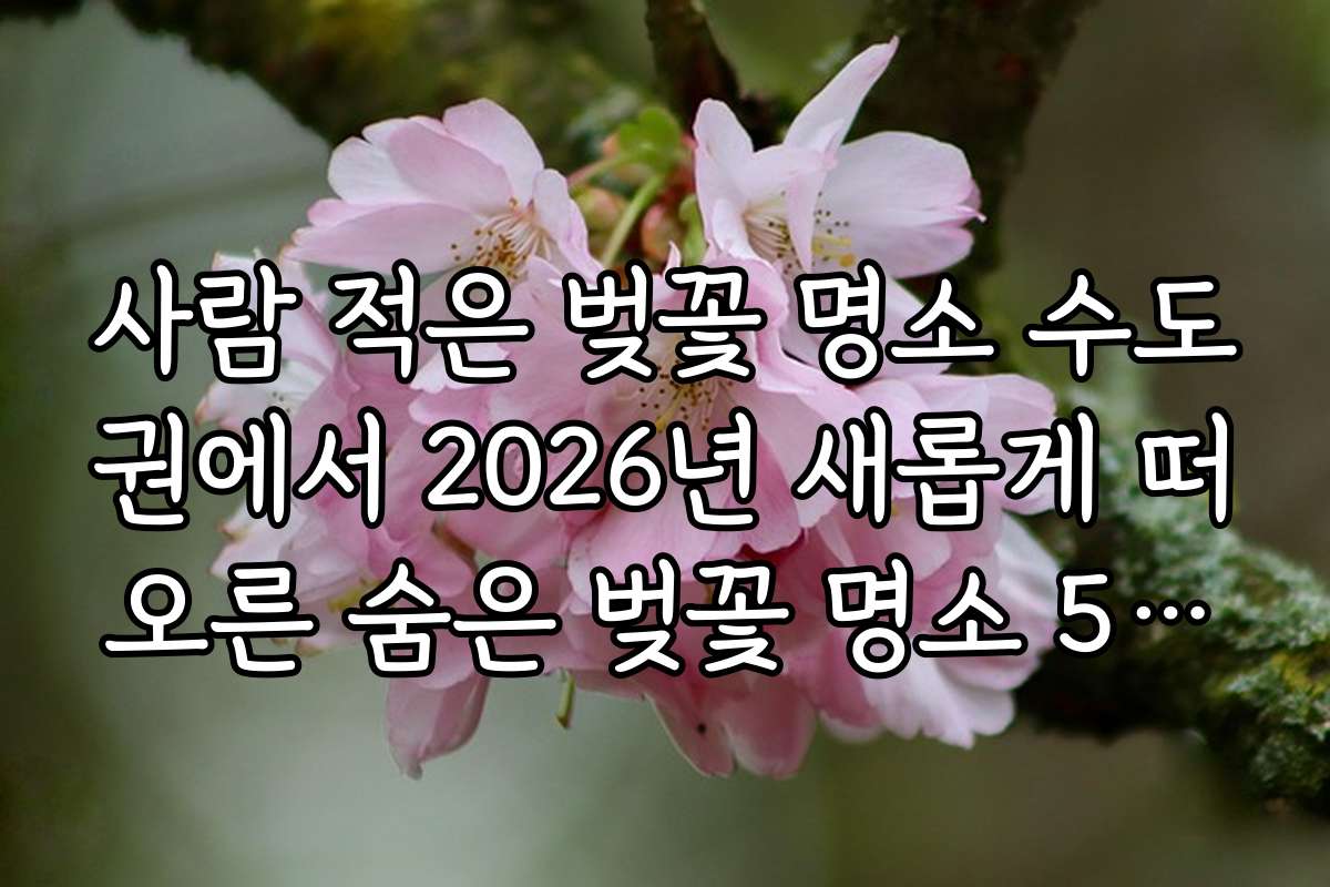 사람 적은 벚꽃 명소 수도권에서 2026년 새롭게 떠오른 숨은 벚꽃 명소 5곳을 공개합니다