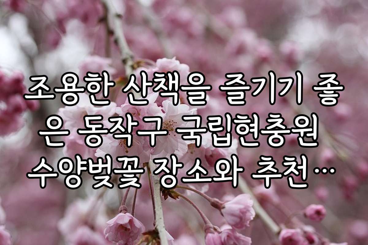 조용한 산책을 즐기기 좋은 동작구 국립현충원 수양벚꽃 장소와 추천 코스
