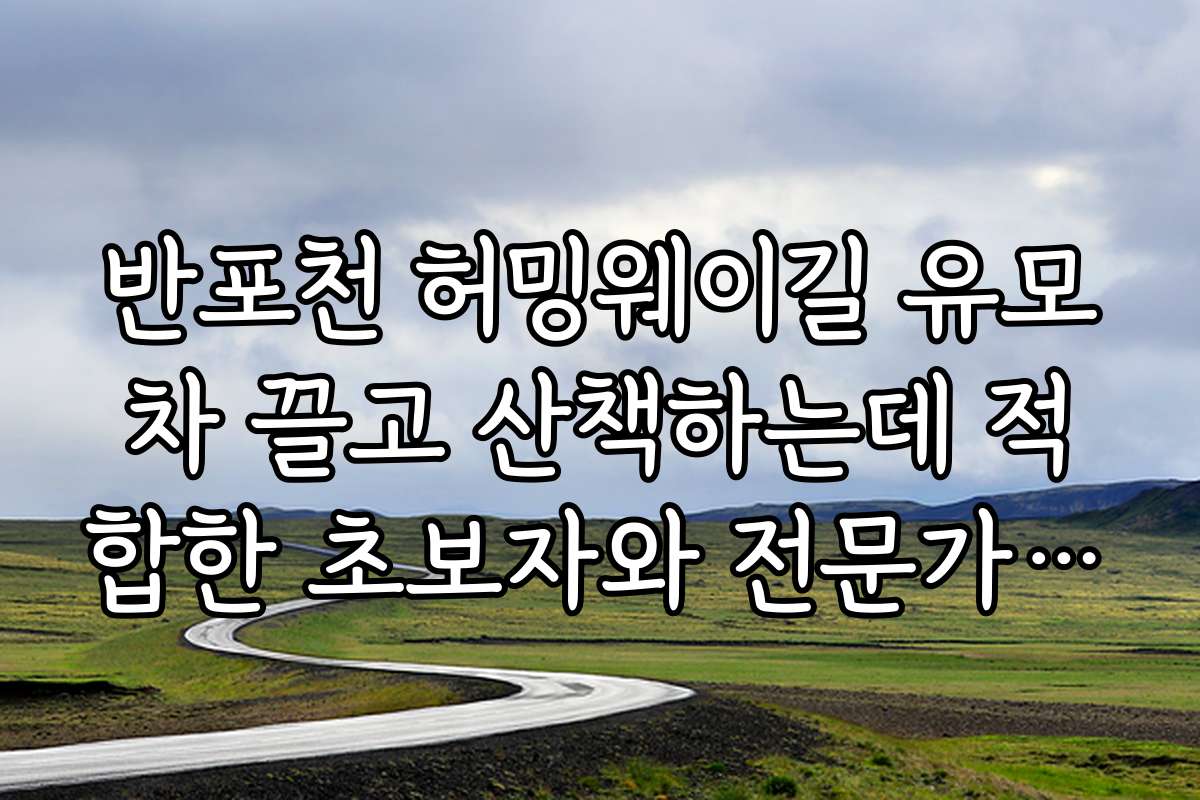 반포천 허밍웨이길 유모차 끌고 산책하는데 적합한 초보자와 전문가별 가이드라인은 무엇인가
