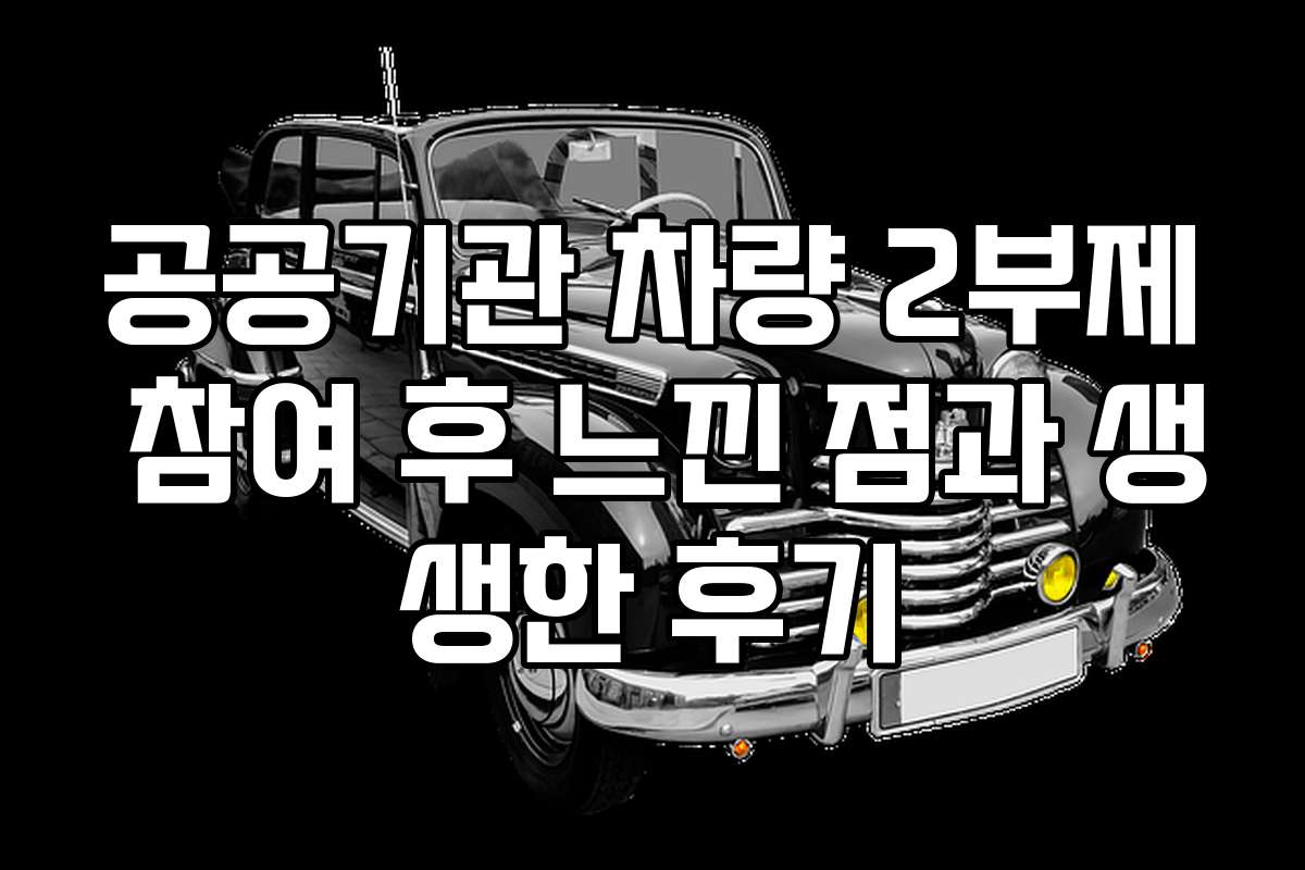 공공기관 차량 2부제 참여 후 느낀 점과 생생한 후기