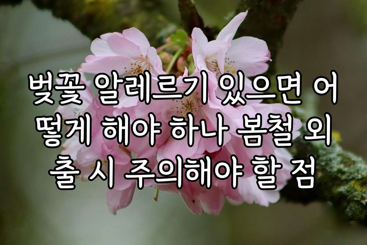벚꽃 알레르기 있으면 어떻게 해야 하나 봄철 외출 시 주의해야 할 점