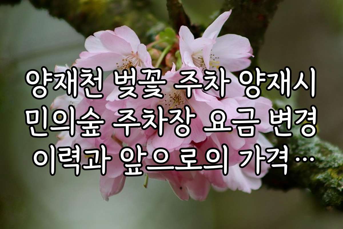 양재천 벚꽃 주차 양재시민의숲 주차장 요금 변경 이력과 앞으로의 가격 전망