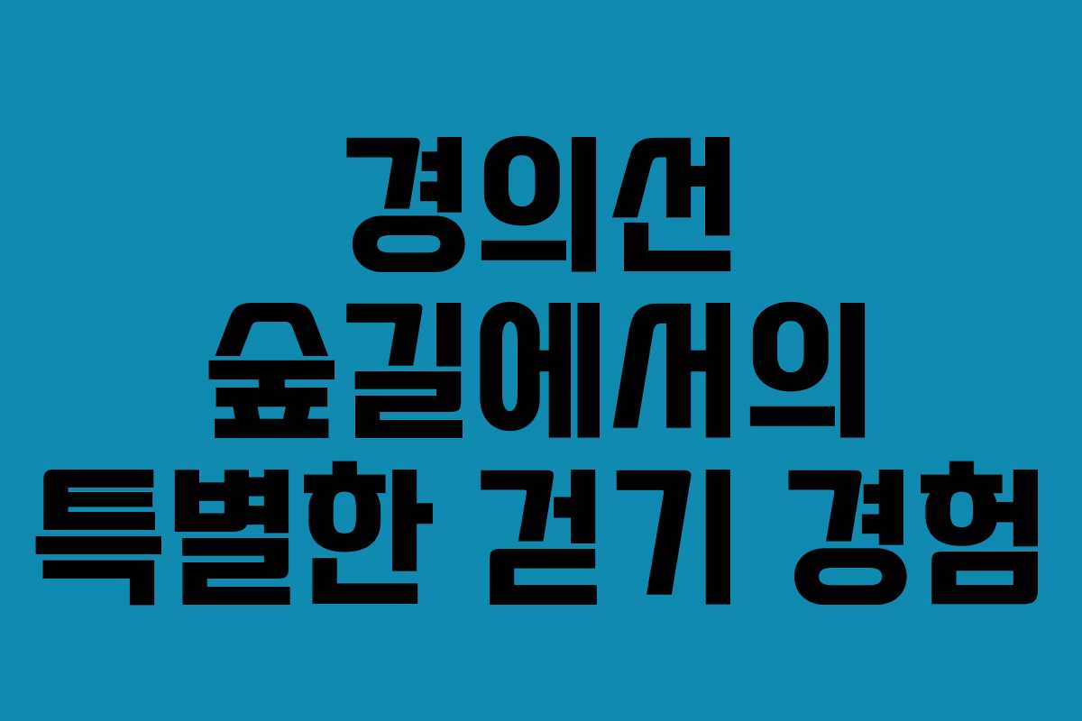 경의선 숲길에서의 특별한 걷기 경험