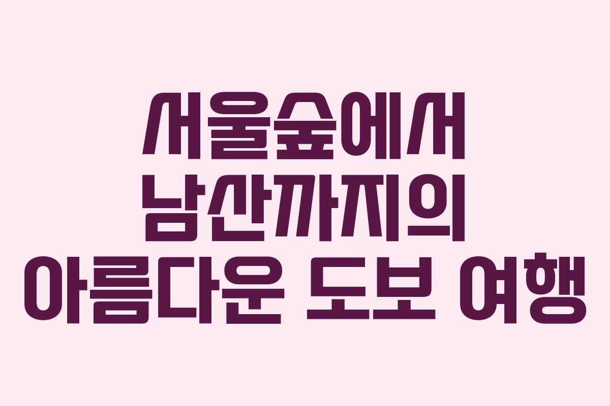 서울숲에서 남산까지의 아름다운 도보 여행