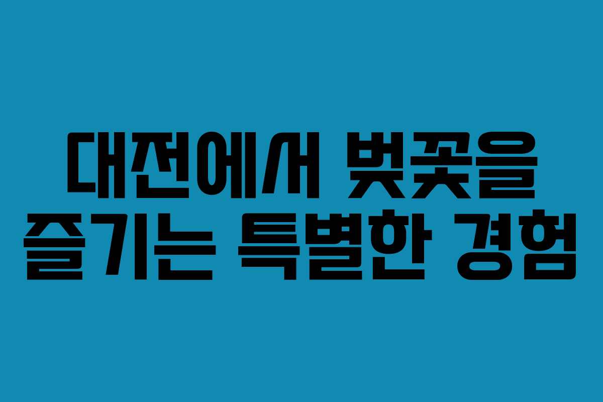 대전에서 벚꽃을 즐기는 특별한 경험