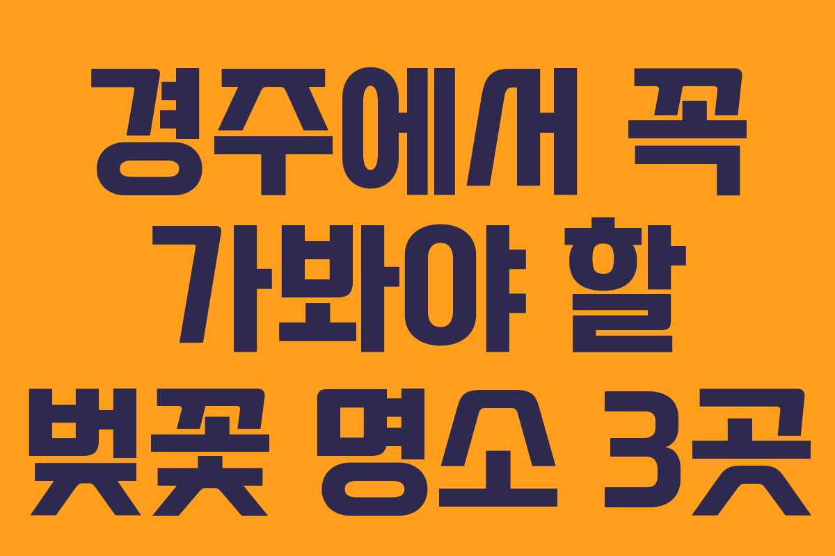 경주에서 꼭 가봐야 할 벚꽃 명소 3곳