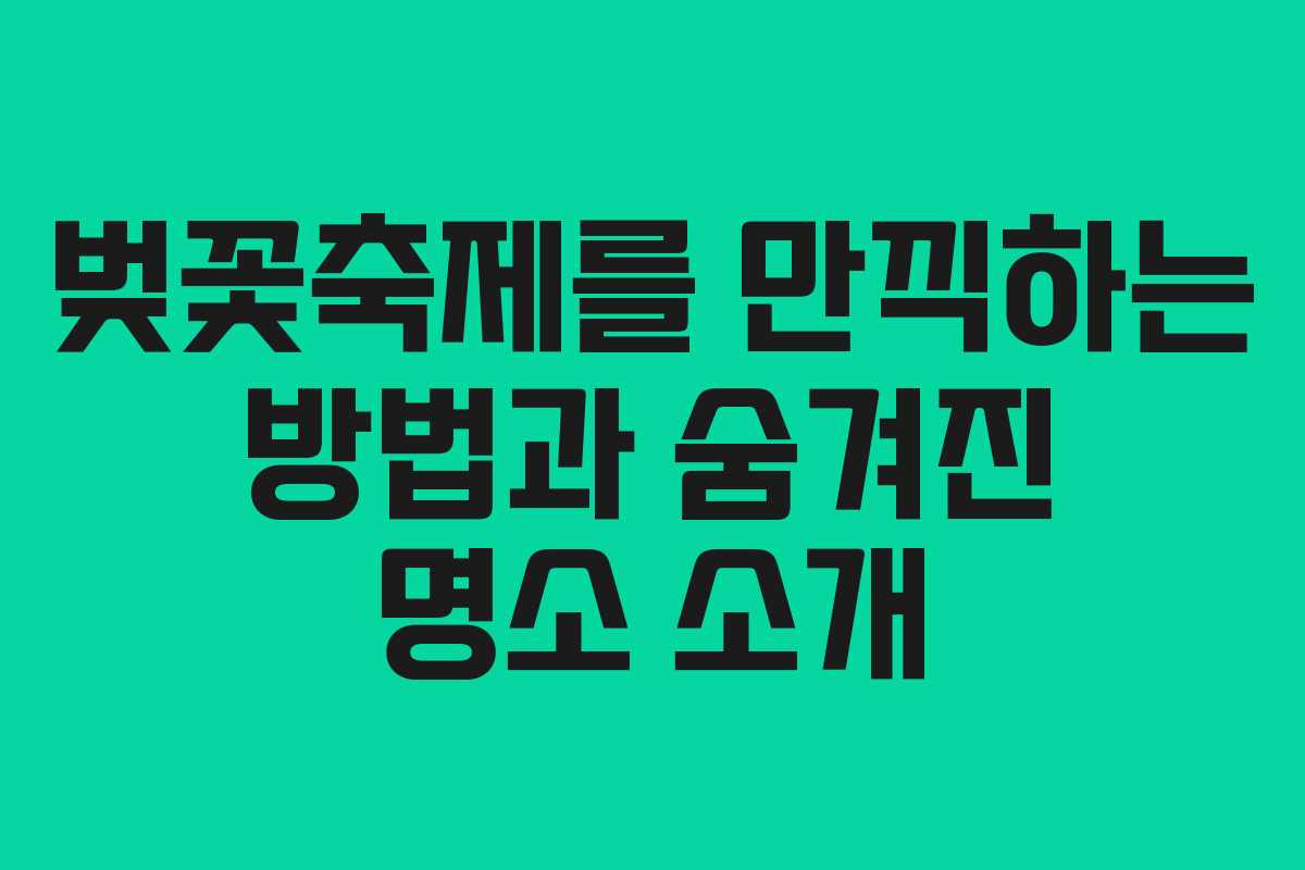 벚꽃축제를 만끽하는 방법과 숨겨진 명소 소개