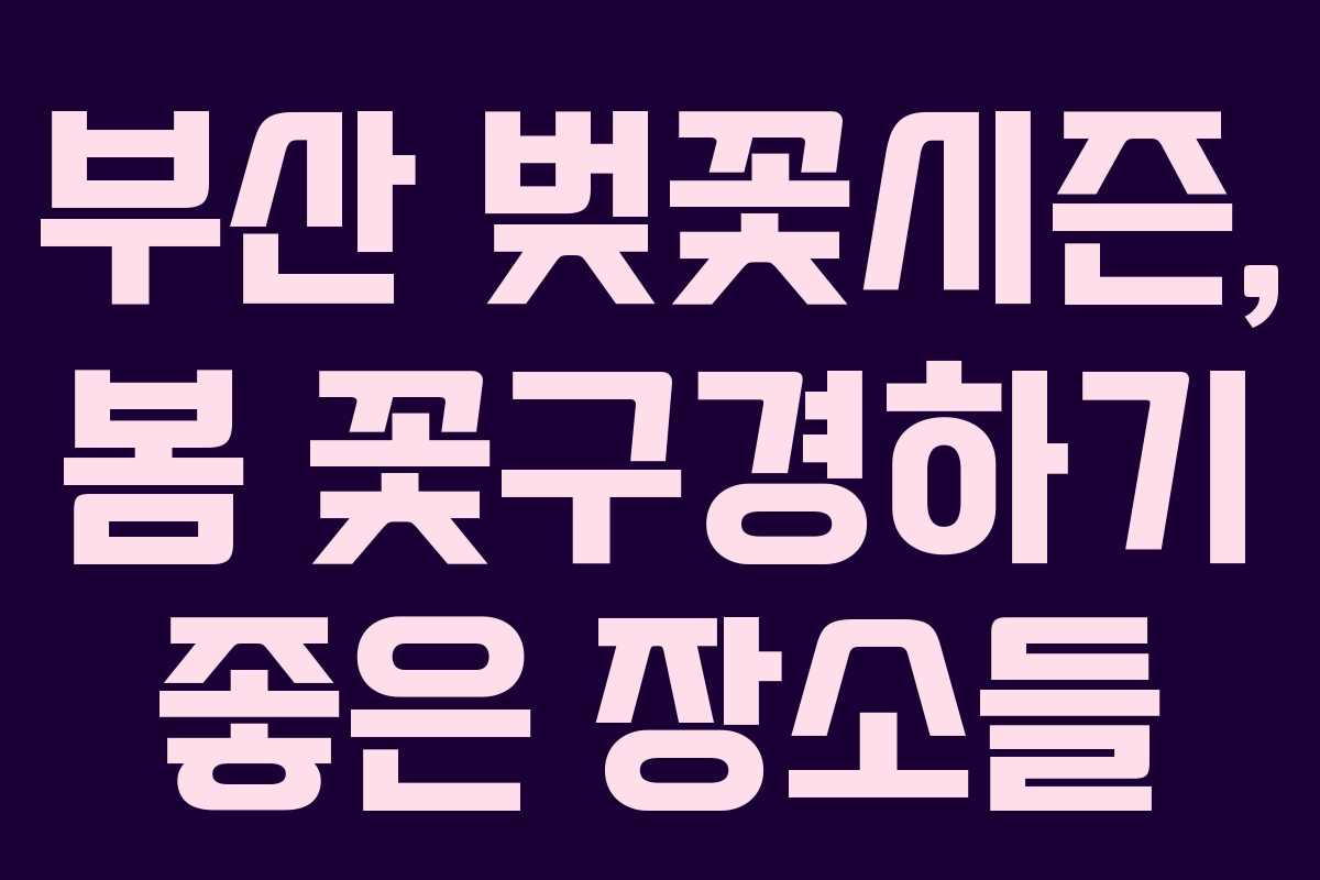 부산 벚꽃시즌, 봄 꽃구경하기 좋은 장소들