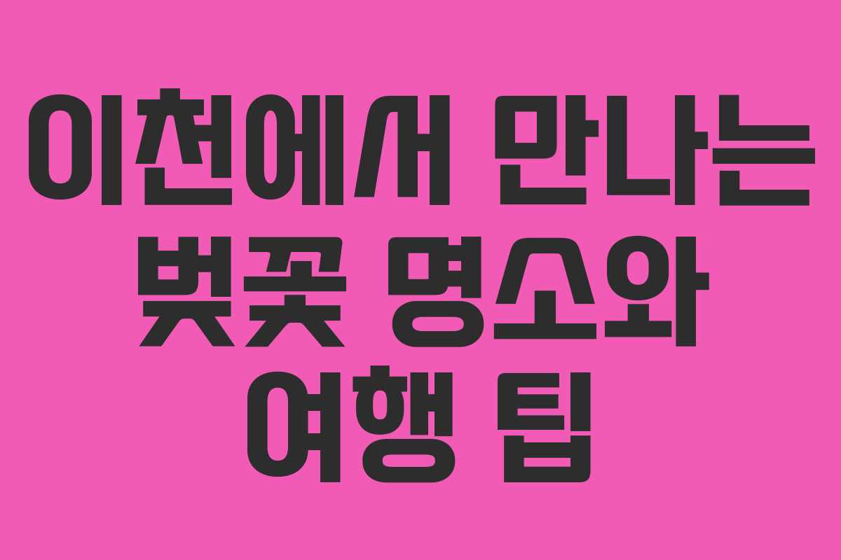 이천에서 만나는 벚꽃 명소와 여행 팁