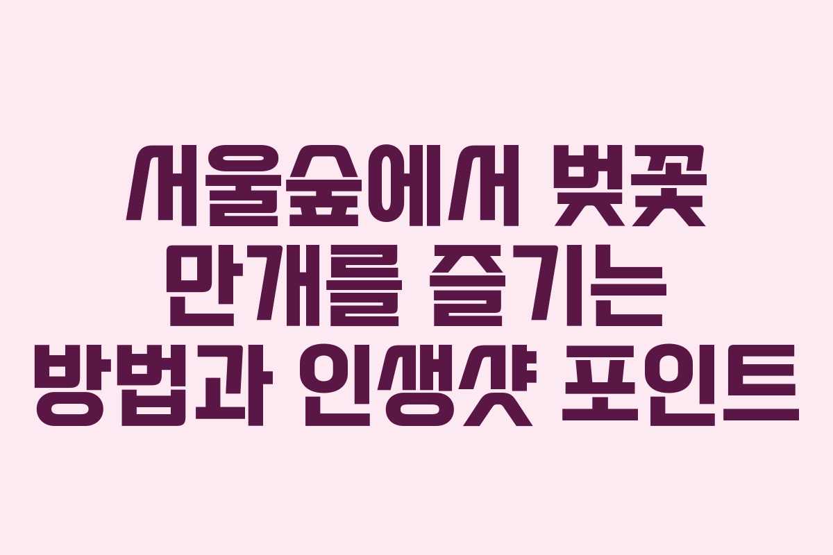 서울숲에서 벚꽃 만개를 즐기는 방법과 인생샷 포인트