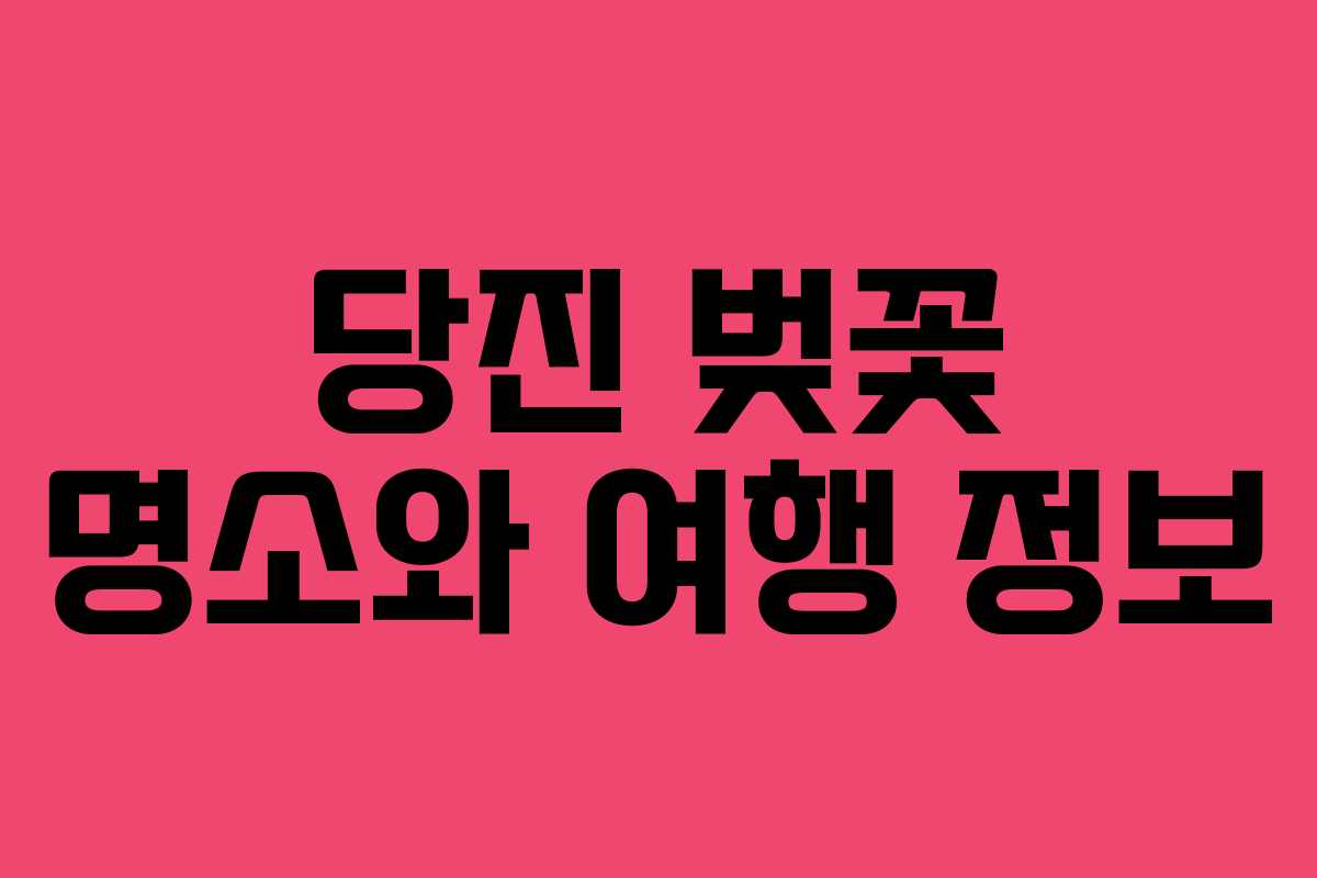 당진 벚꽃 명소와 여행 정보