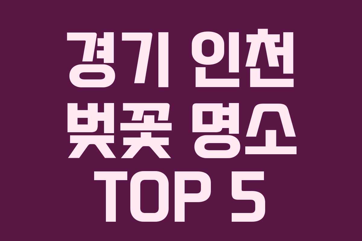 경기 인천 벚꽃 명소 TOP 5
