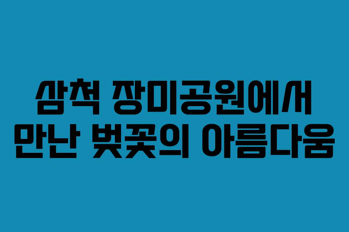 삼척 장미공원에서 만난 벚꽃의 아름다움