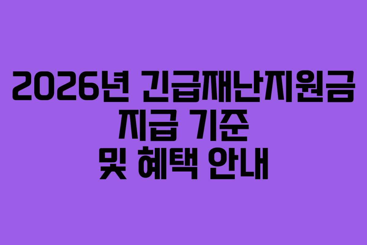 2026년 긴급재난지원금 지급 기준 및 혜택 안내