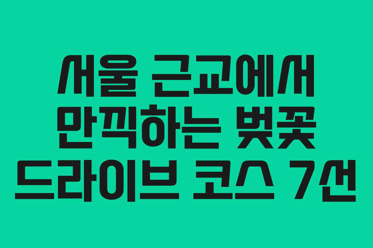 서울 근교에서 만끽하는 벚꽃 드라이브 코스 7선