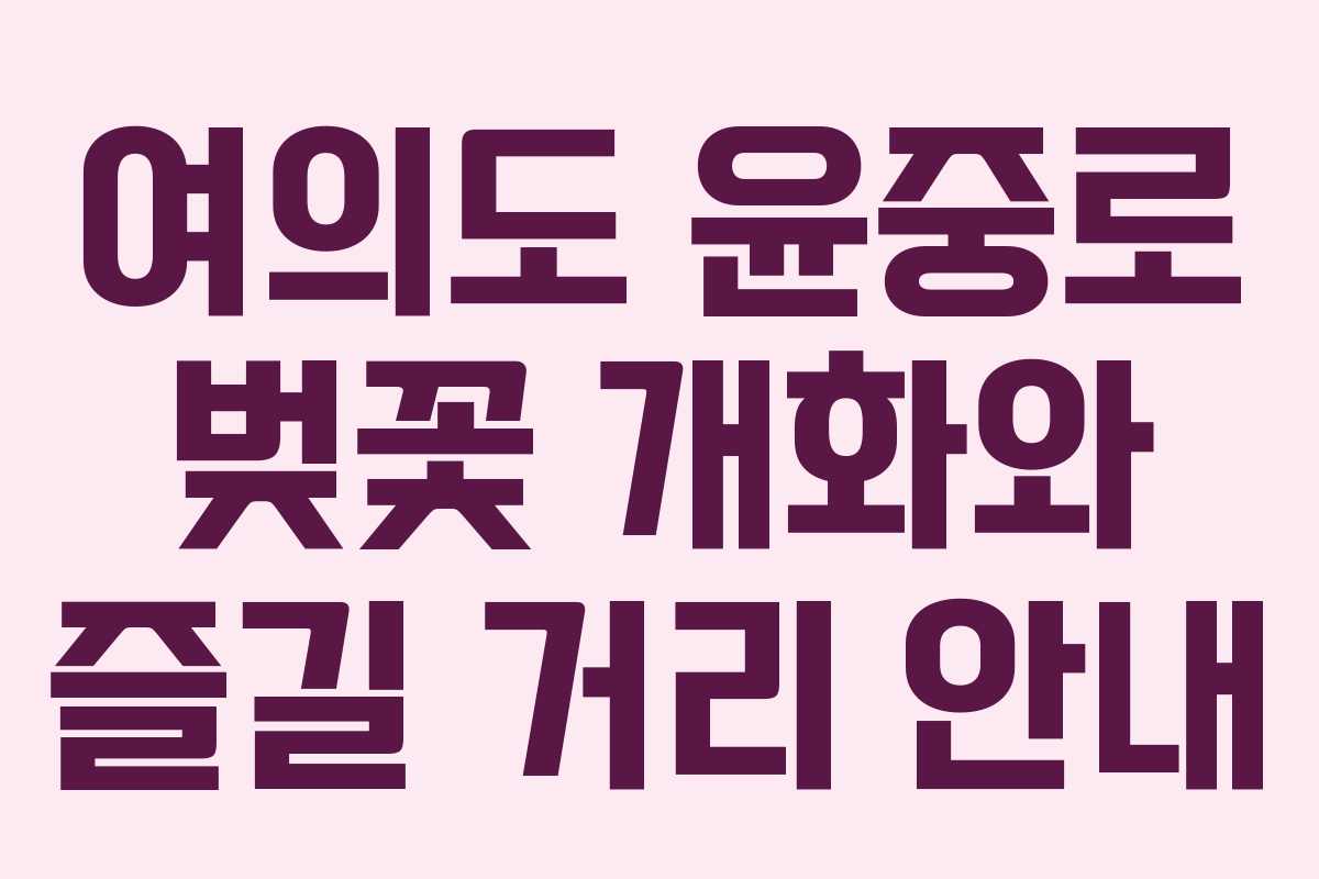 여의도 윤중로 벚꽃 개화와 즐길 거리 안내