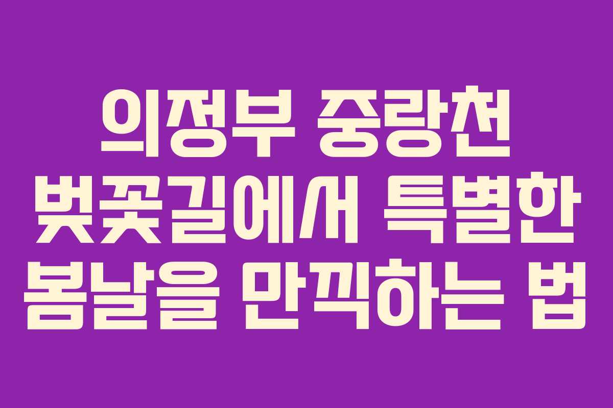 의정부 중랑천 벚꽃길에서 특별한 봄날을 만끽하는 법