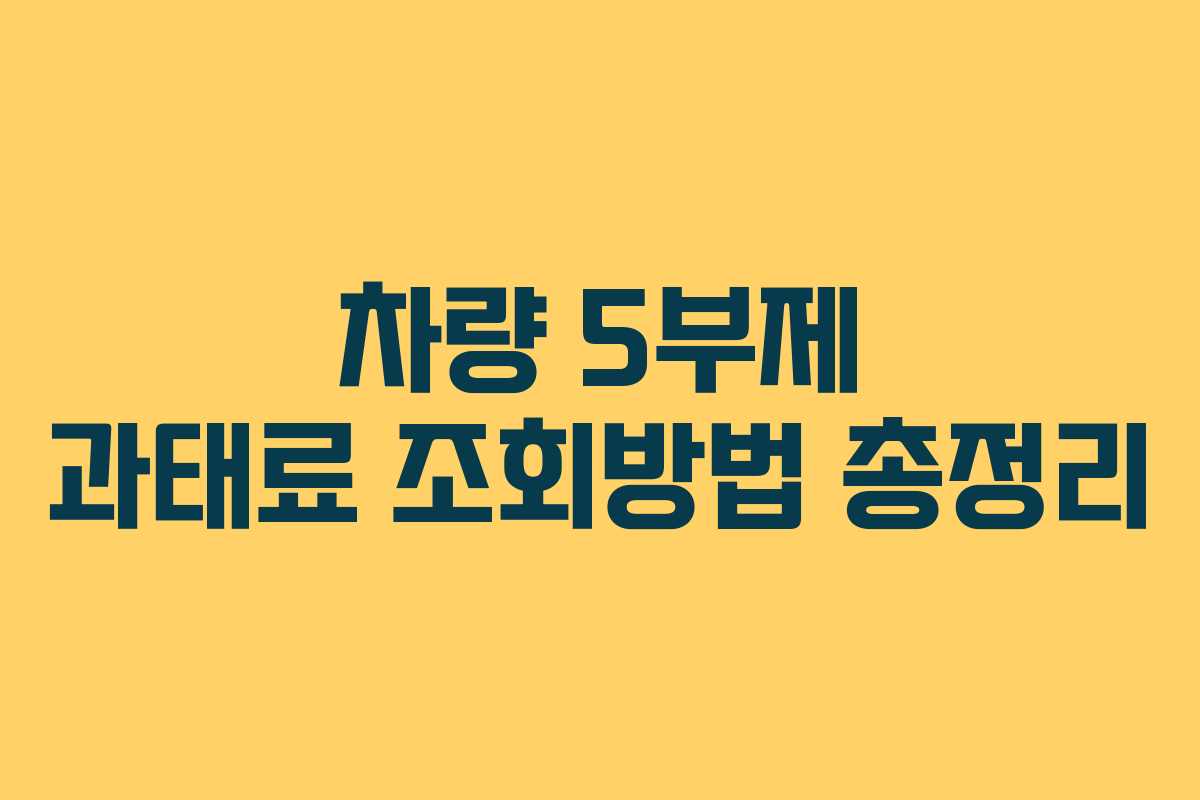 차량 5부제 과태료 조회방법 총정리