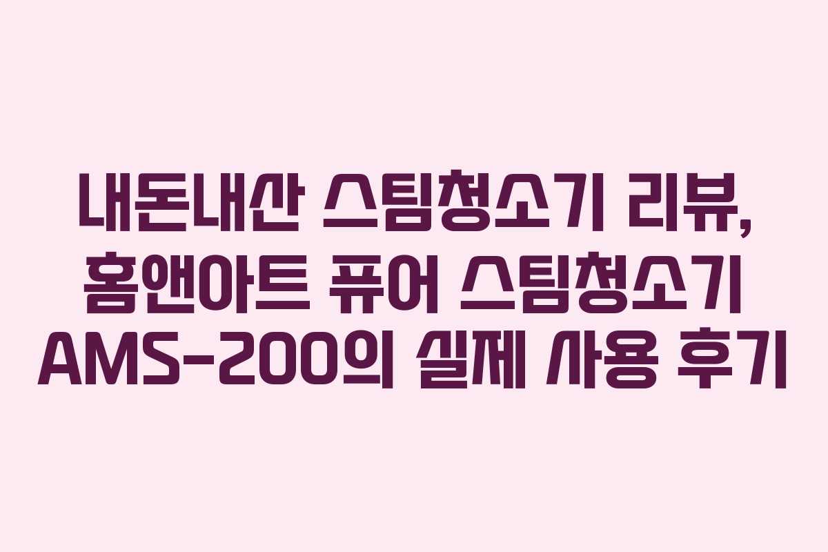 내돈내산 스팀청소기 리뷰, 홈앤아트 퓨어 스팀청소기 AMS-200의 실제 사용 후기