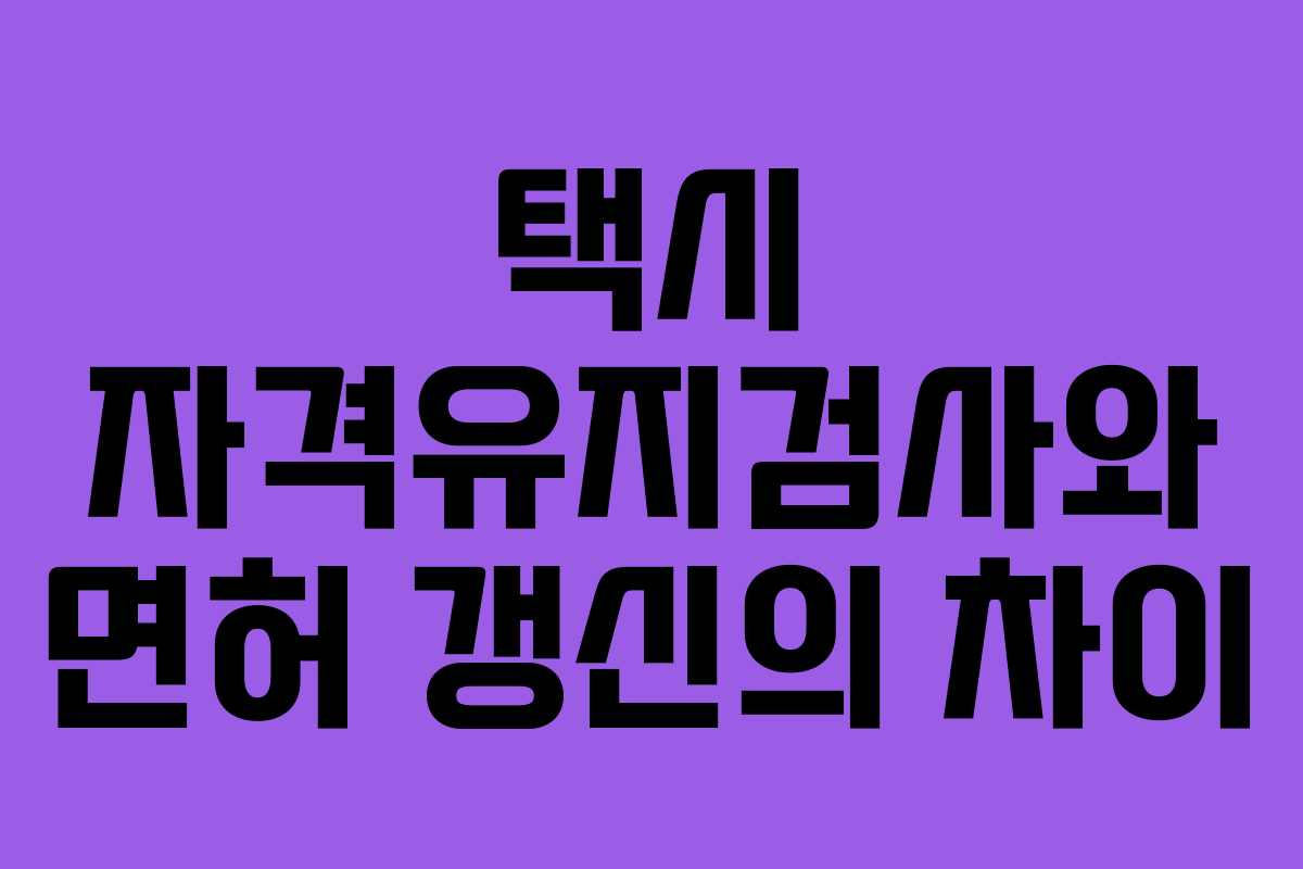 택시 자격유지검사와 면허 갱신의 차이
