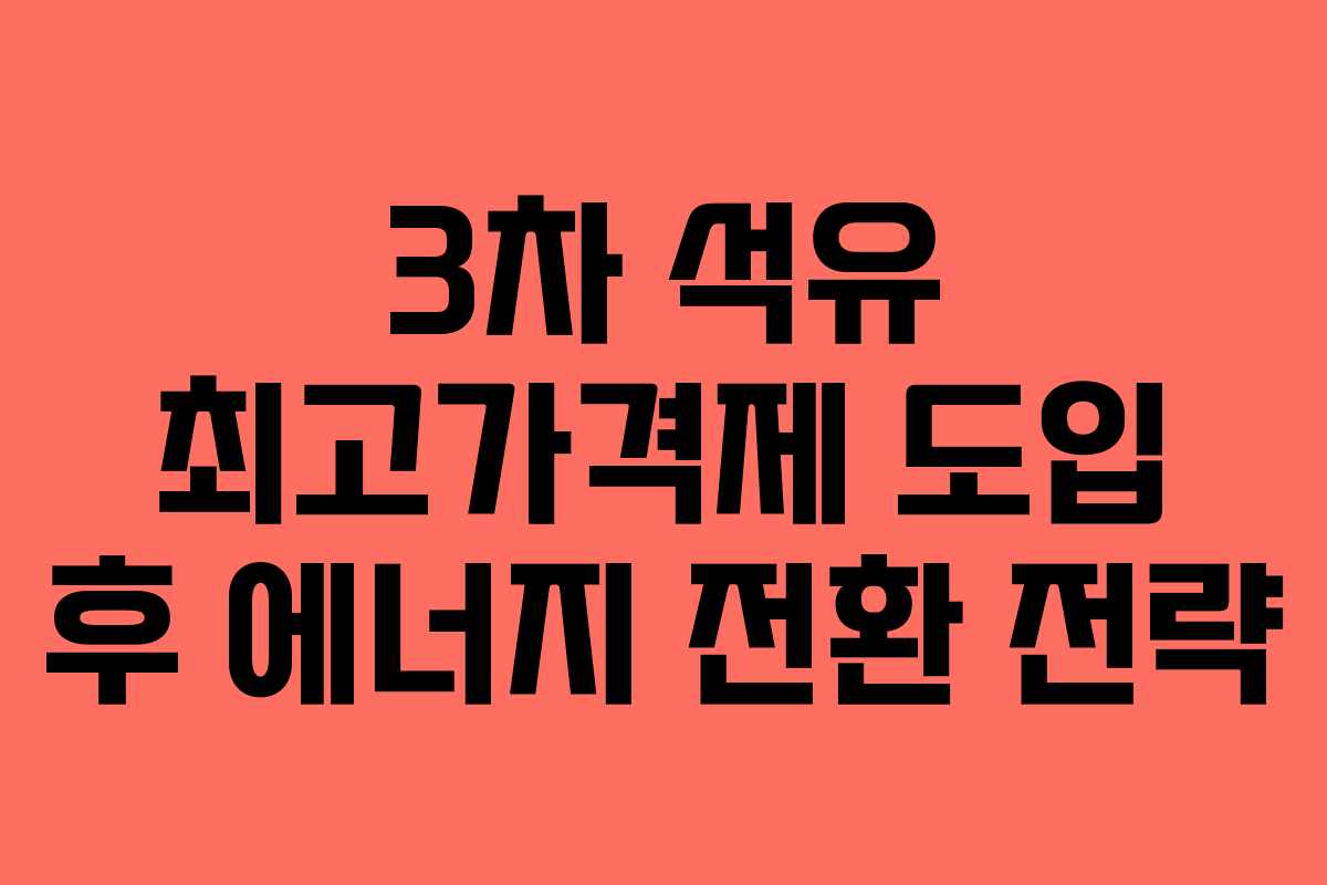 3차 석유 최고가격제 도입 후 에너지 전환 전략