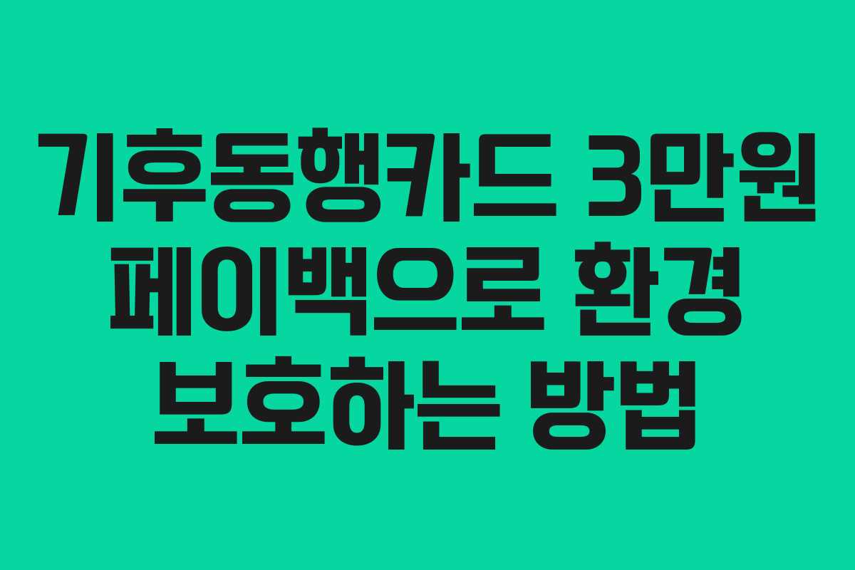 기후동행카드 3만원 페이백으로 환경 보호하는 방법